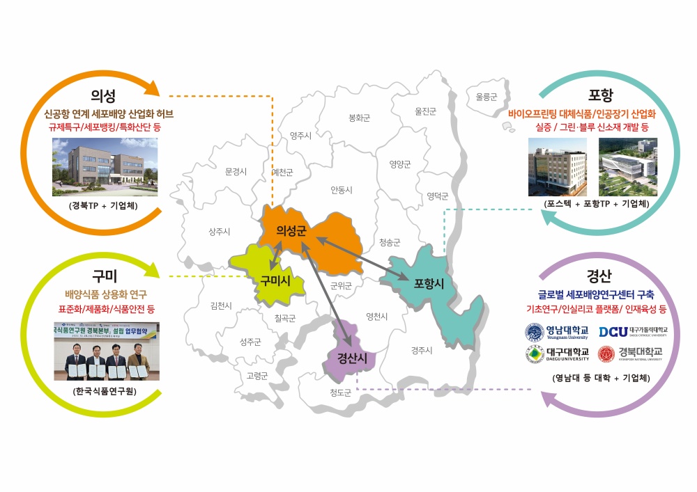 경북도, 세포배양기술 특화 클러스터 조성