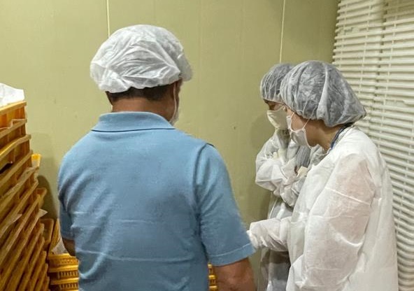 인천시 특별사법경찰, 즉석섭취·편의식품류 판매업소 집중수사