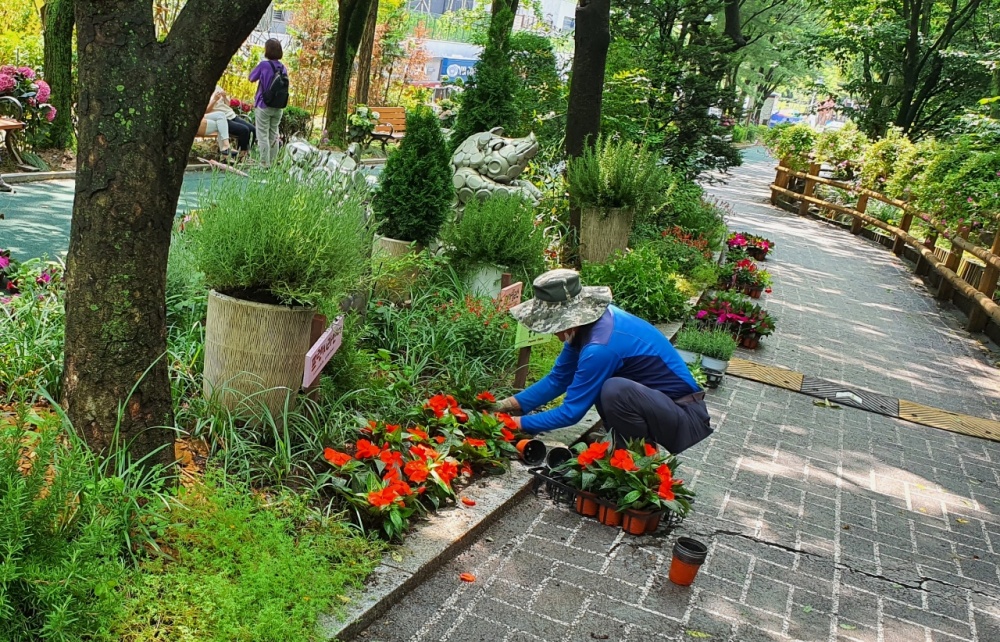 과천시, ‘도시녹지관리원’ 오는 15일까지 모집
