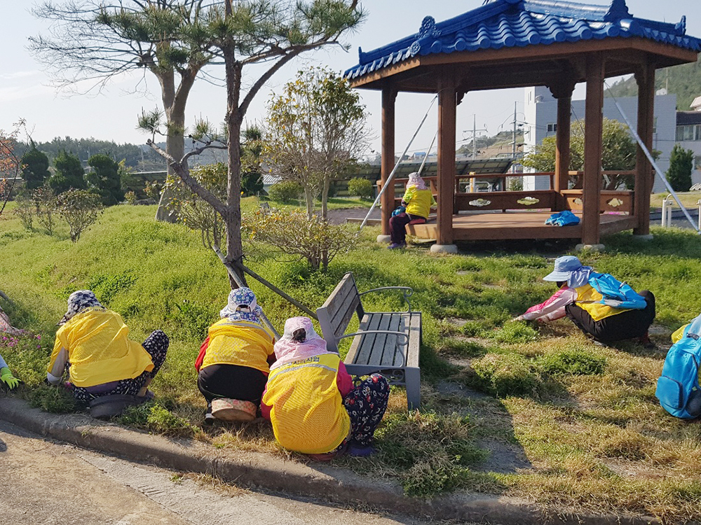 신안군, 노인 일자리 사업 본격 추진 가속화