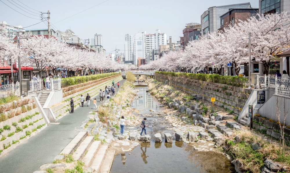 성북구, 서울시 수변활력거점 조성 공모사업 선정...50억 원 투입
