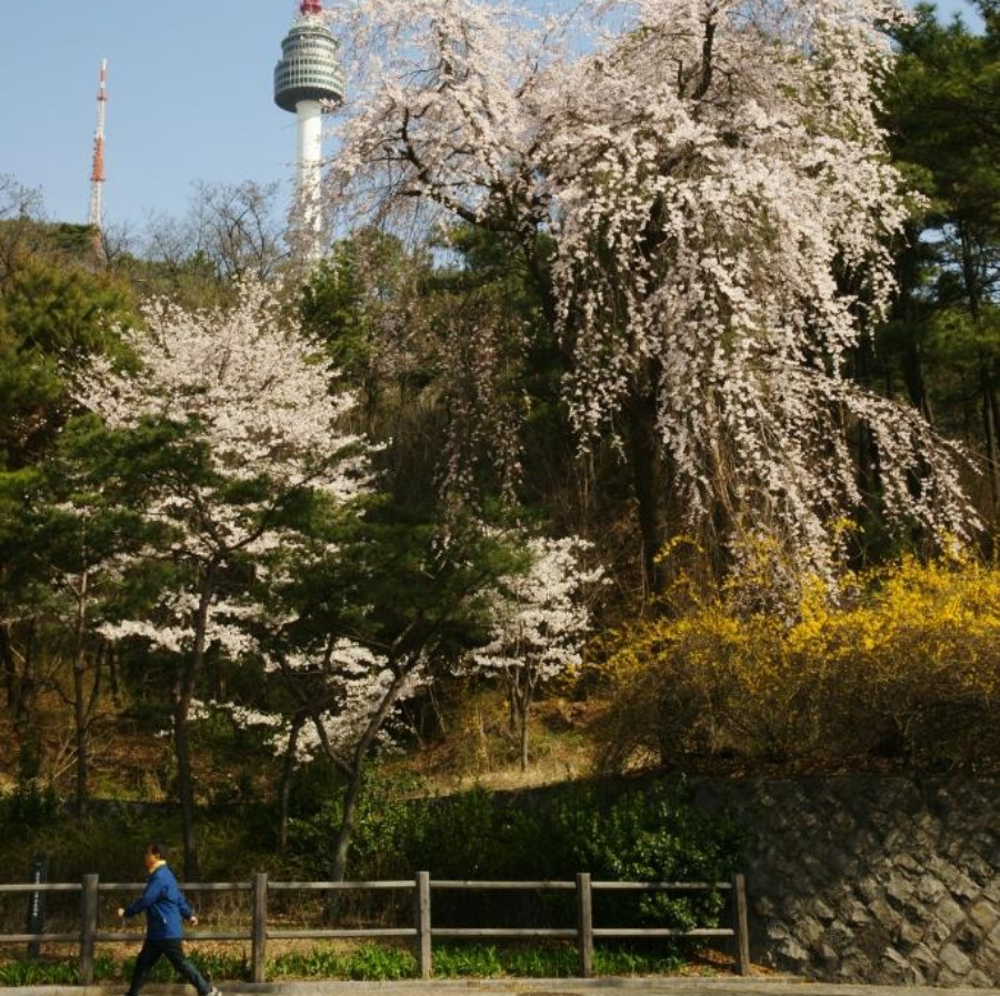 용산구, 소월로 '보행특화거리' 재단장