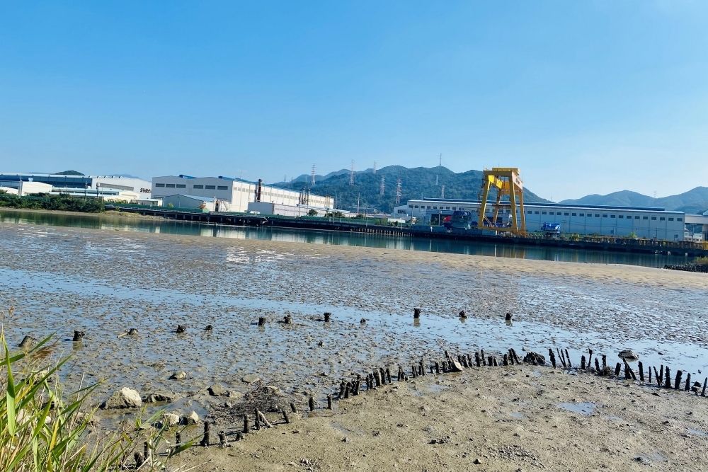 창원특례시, ‘마산만 봉암갯벌’ 해양보호구역 관리사업 추진
