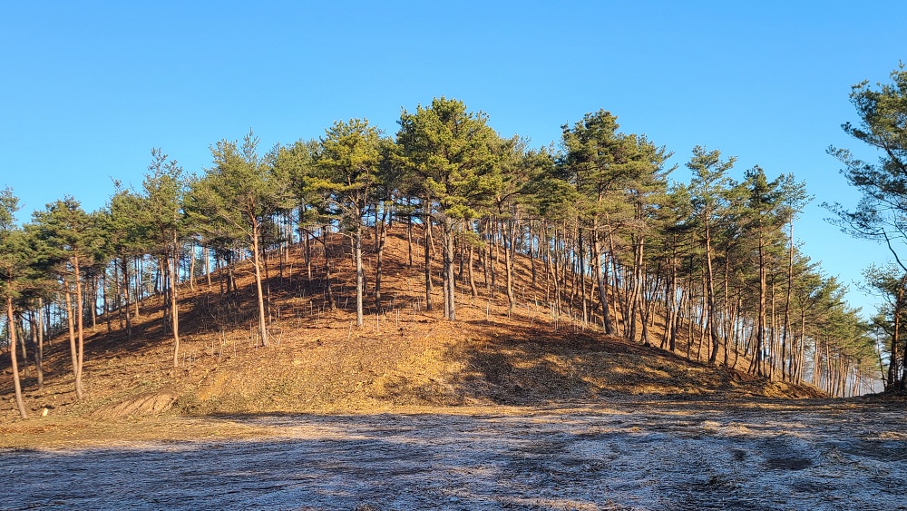 의령군, 선도산림경영단지 평가 2년 연속 ‘최우수단지’