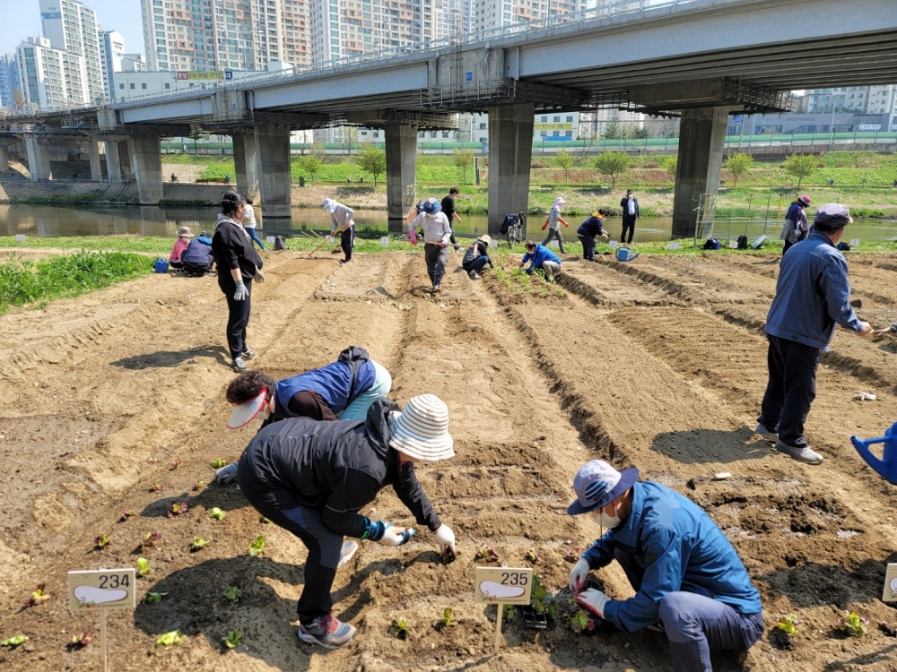 금천구, '민간단체 도시농업 지원사업' 공모 진행