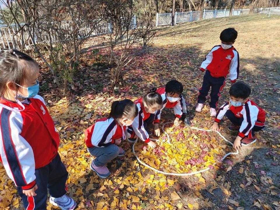 춘천시 유아숲체험원, 오는 27일 운영 시작