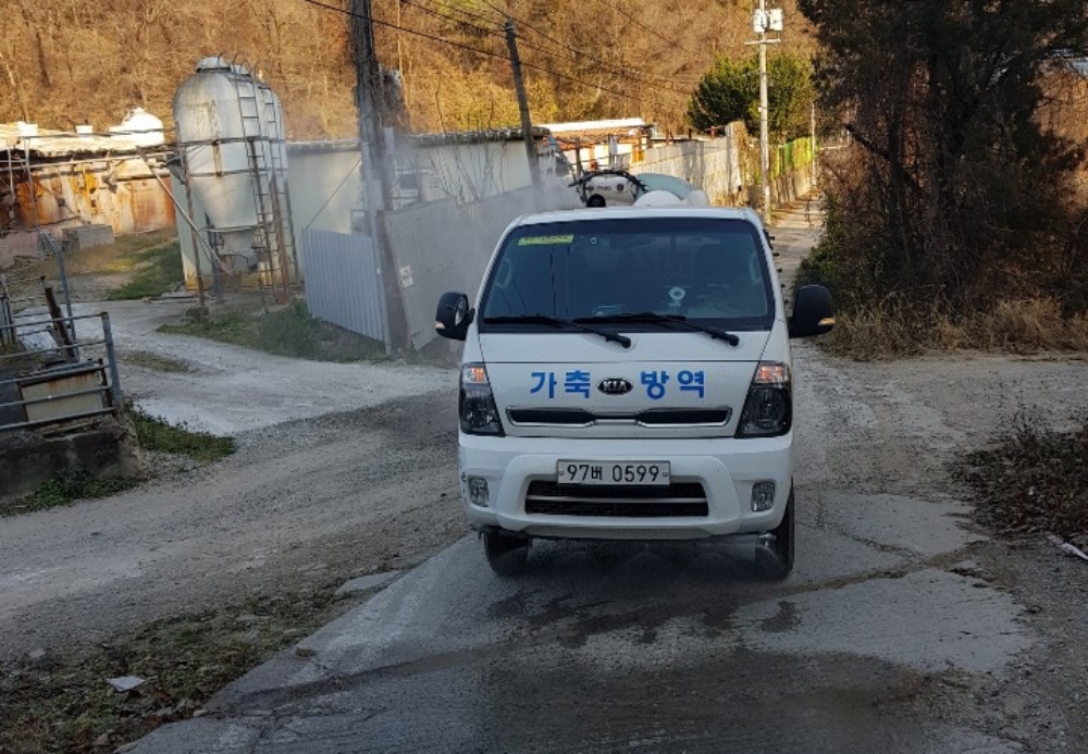 경북도, 아프리카돼지열병 차단방역에 총력