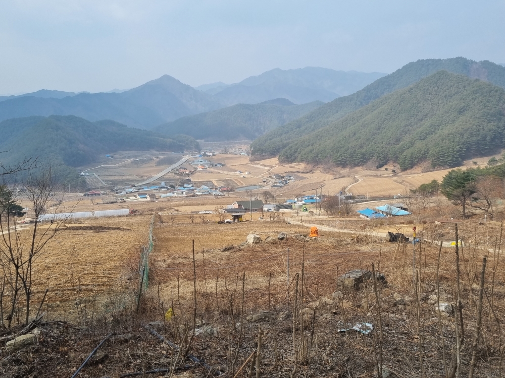 봉화군, 지적재조사 측량 추진
