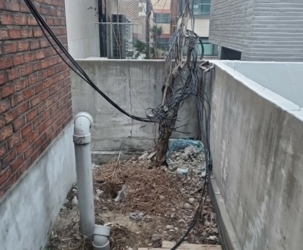 강남구, 불량공중선 집중정비에 나선다!