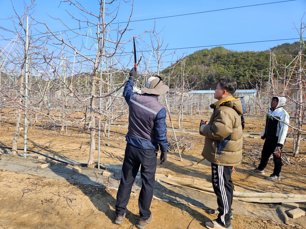 영덕군, '2023년 신규농업인 현장실습교육 실행