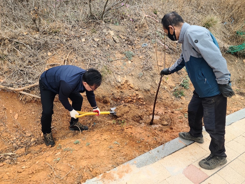 옹진군 연평면, ‘제78회 식목일 행사’ 진행