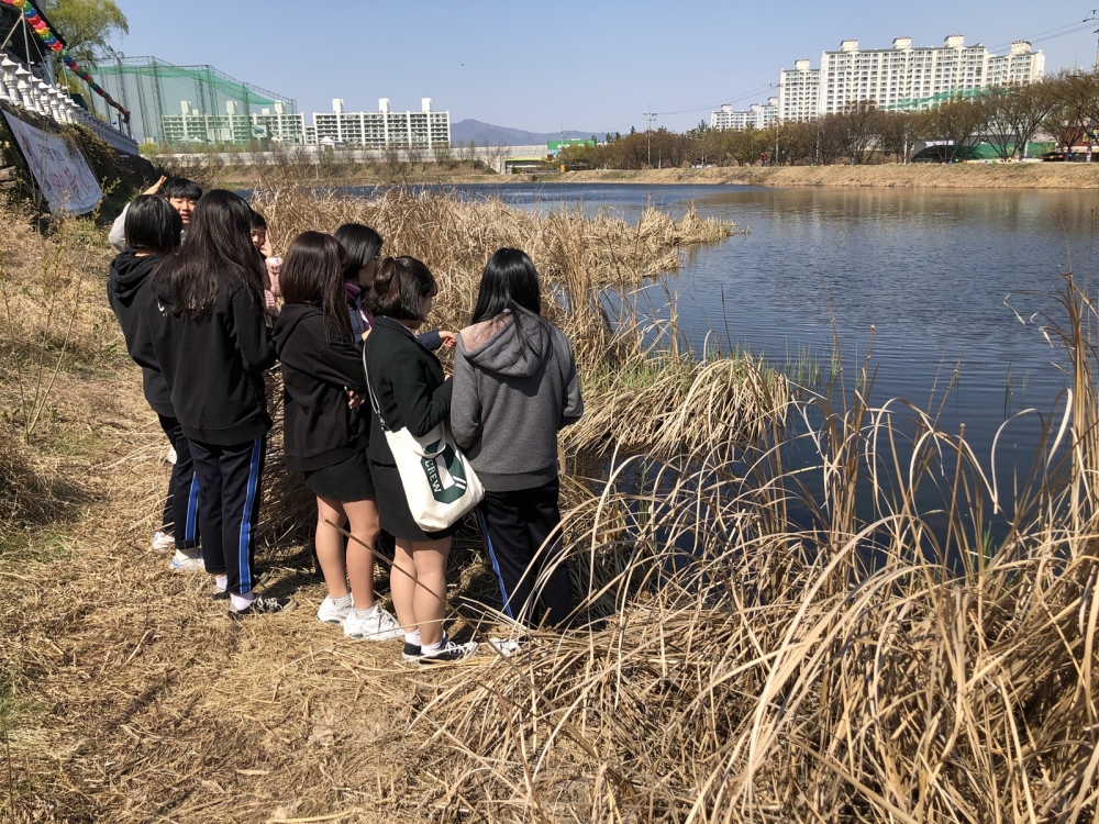 대구 수성구, '망월지 두꺼비 생태체험 프로그램' 실시
