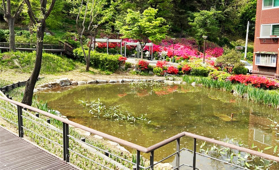 구로구, 잣절공원 내 생태습지 정비공사 완료
