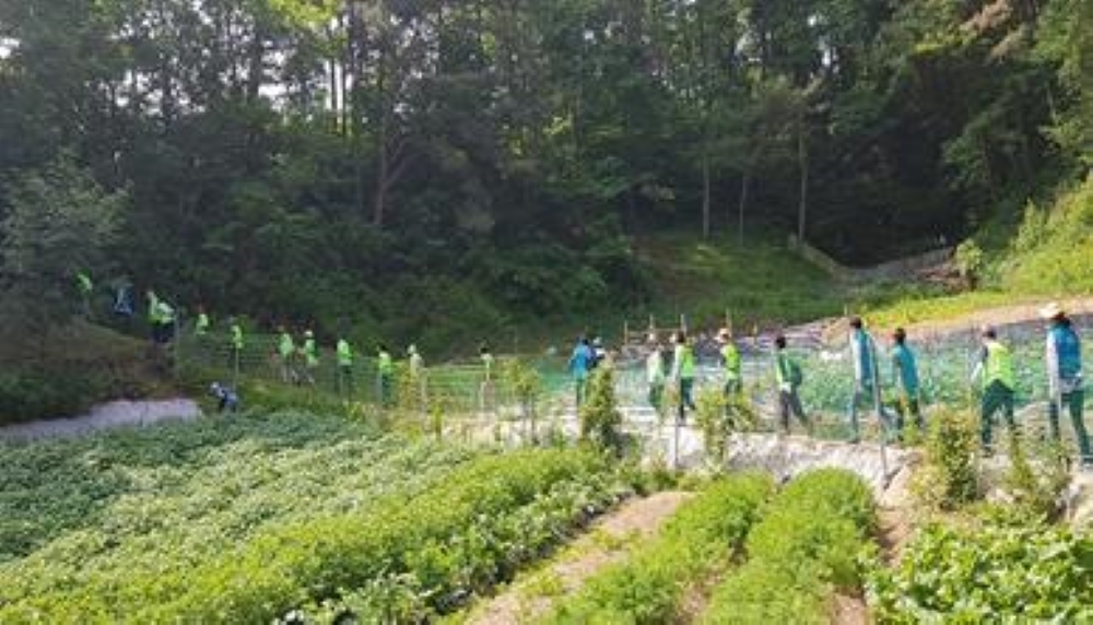 제천시, 걷기 실천율 향상 위해 '바르게 걷기교실' 운영한다