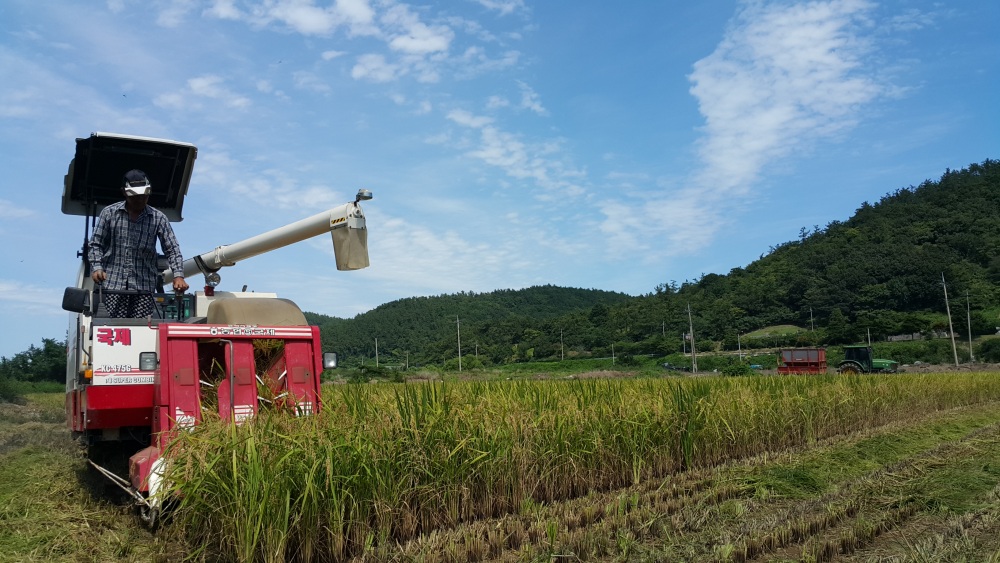 진도군, 농업인 소득안정 위한 기본형 공익직불제 신청 접수한다
