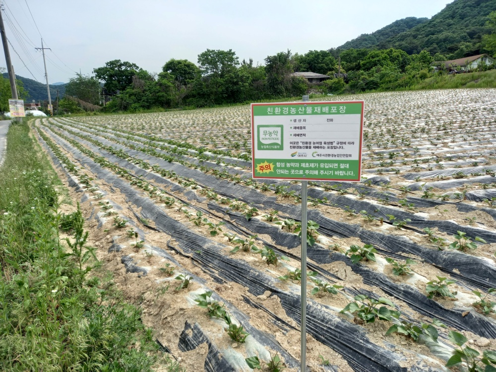 여주시, '친환경농산물 인증농지 표지판' 배부 실시