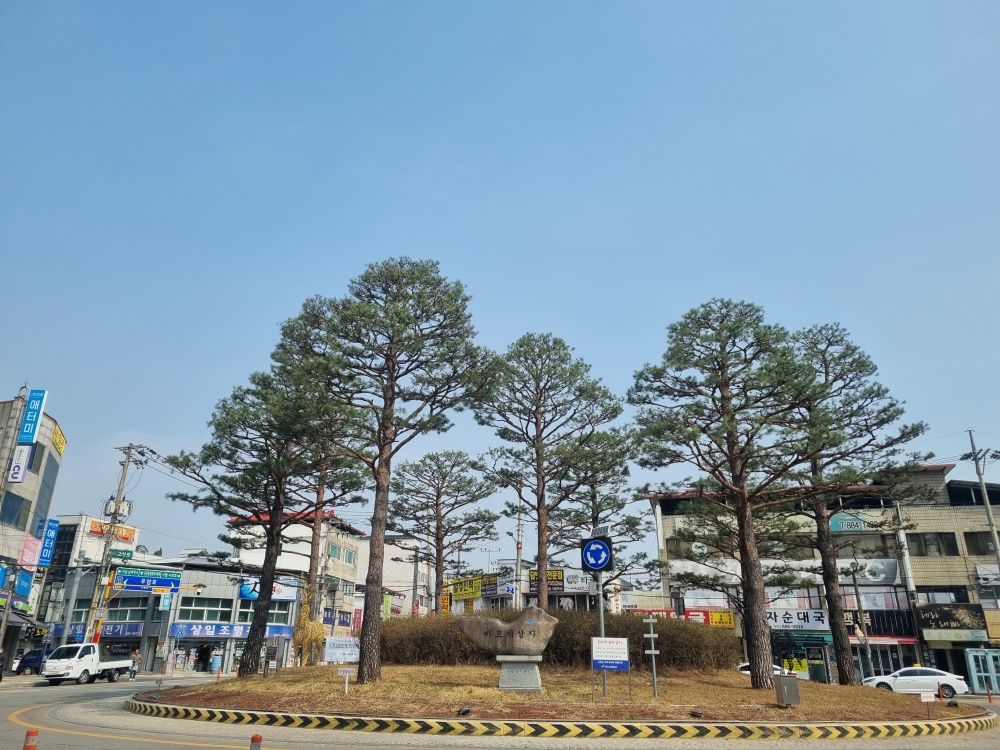 여주시, 수목 관리시스템 전산개발 용역 착수