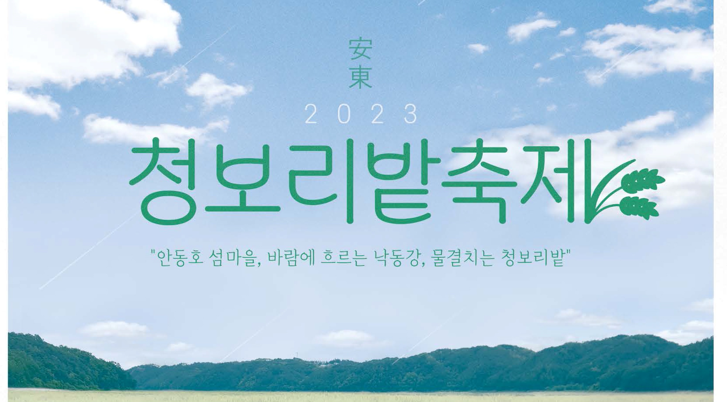 안동 청보리밭 축제 즐기러 오세요