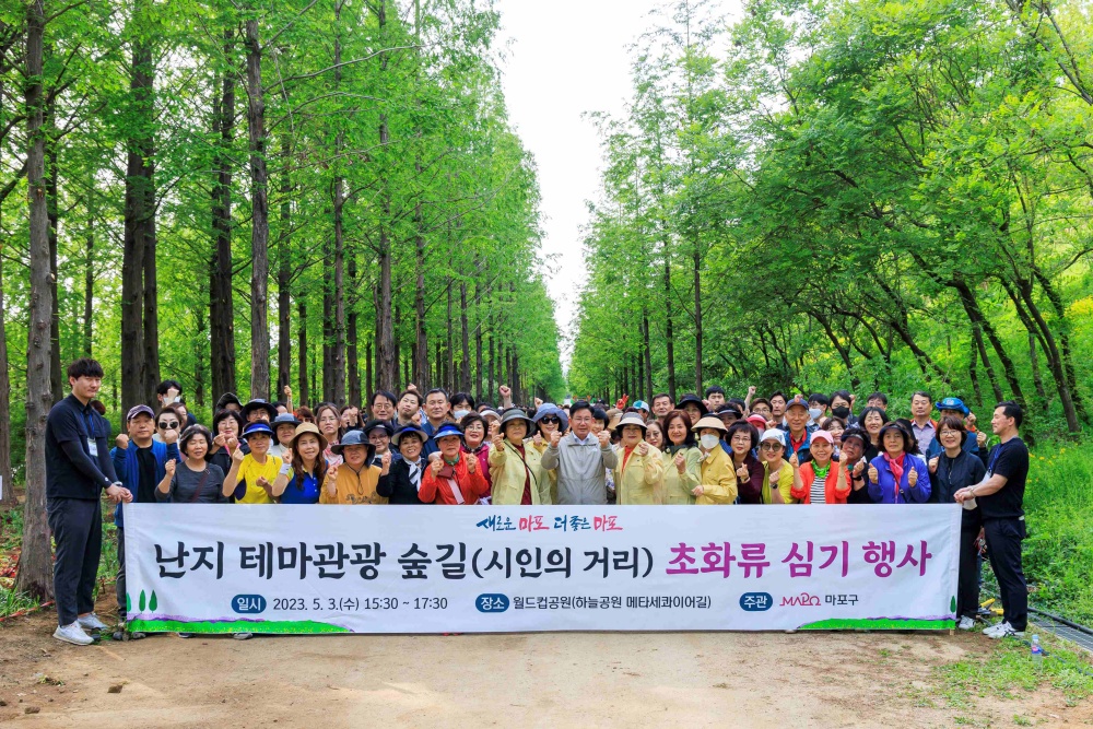 마포구, 하늘공원 메타세콰이어길 '초화 특화거리' 형성
