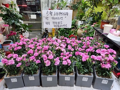 수영구 민락동협의체, 반려식물 지원 사업