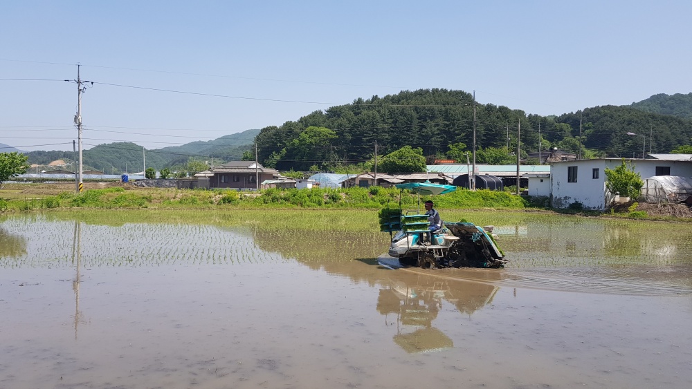 가평군, 친환경 농업기반구축 및 농산물 생산지원 강화