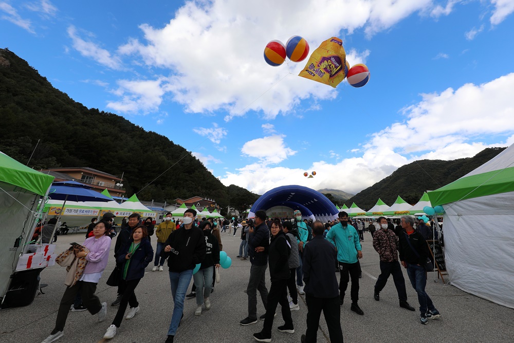 인제군, 황태축제 개최