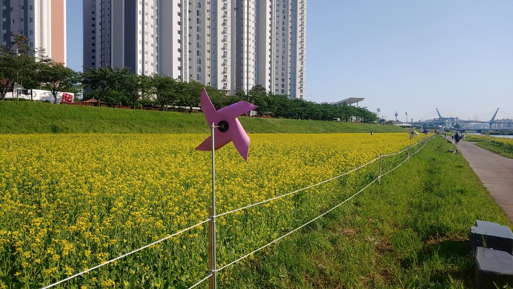 양산시, 100만 본 꽃 생산해 시가지 꽃길 조성