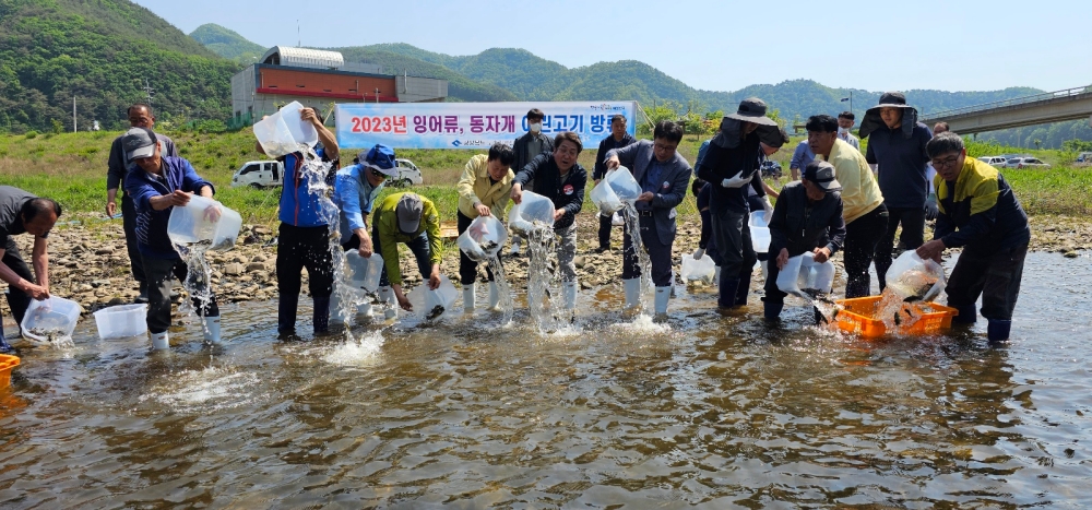 영양군, 생태계 보존 및 자원회복 위해 '잉어류·동자개' 방류