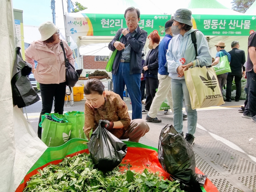 제18회 영양산나물축제 성료