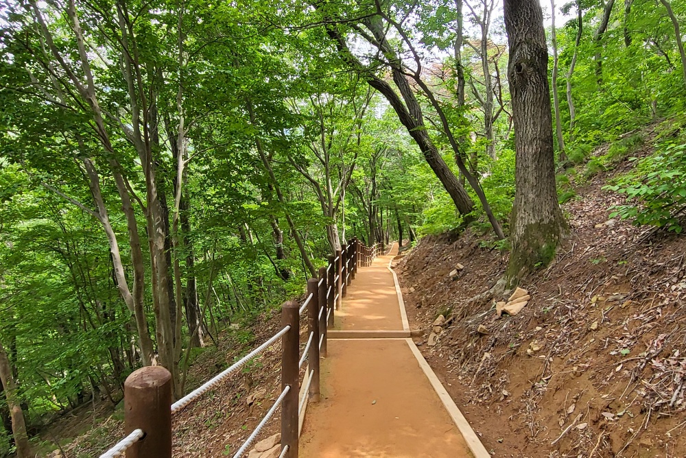 창원시, 성주사 황토길 맨발 힐링하세요~