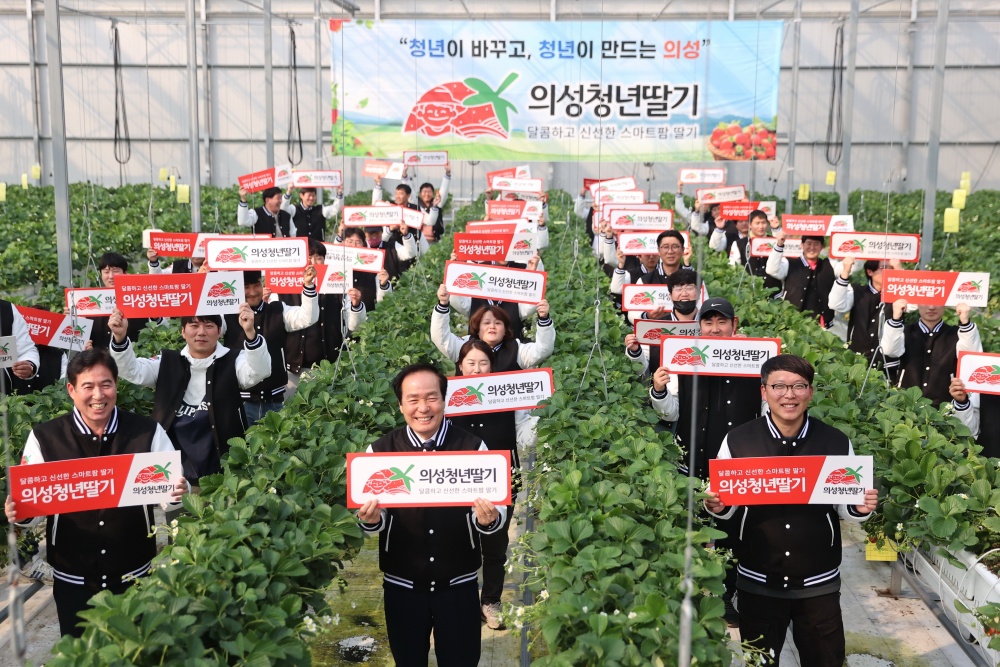 의성군, 청년농업인 스마트팜 딸기 아카데미 운영