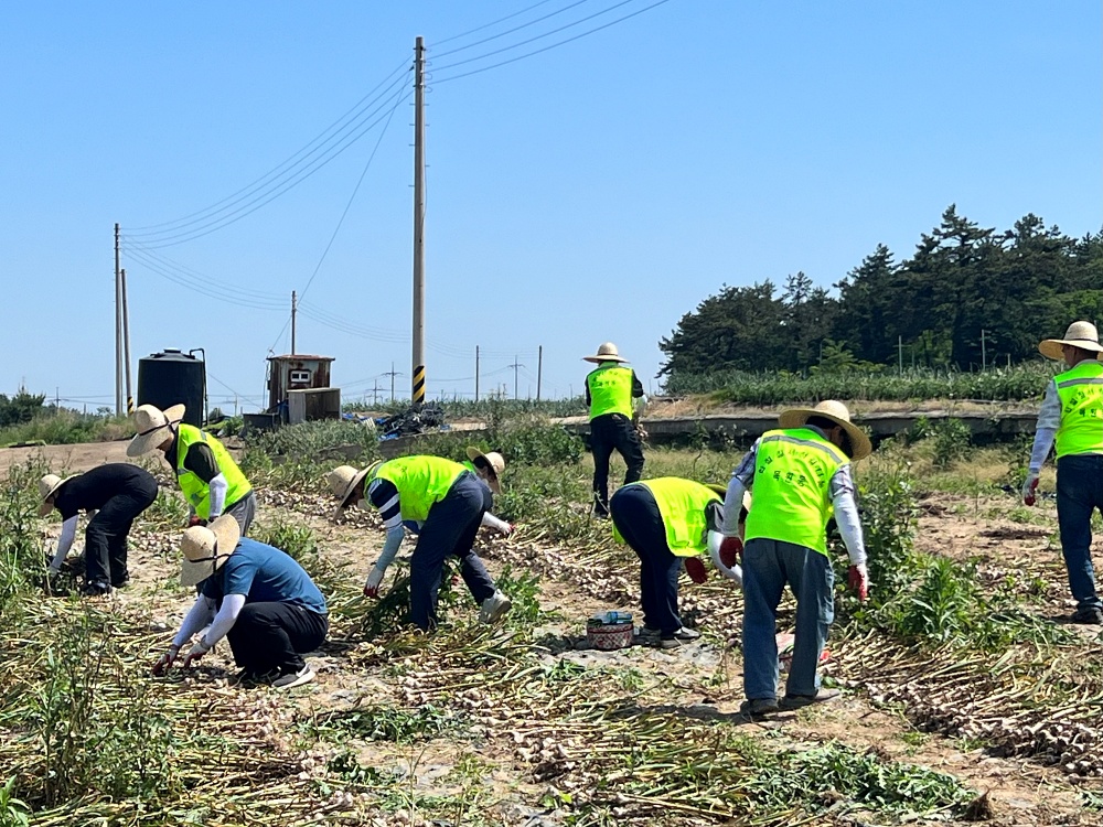 목포시, 도농상생교류 박차... 농촌 일손 돕기 교류