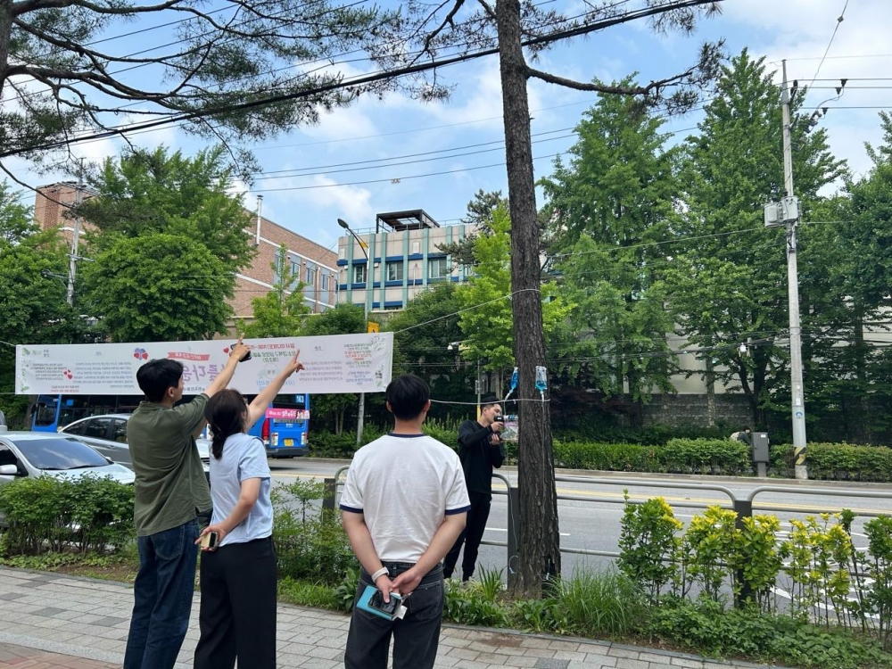 서울 강북구, '생활권 수목진료 민간컨설팅' 운영