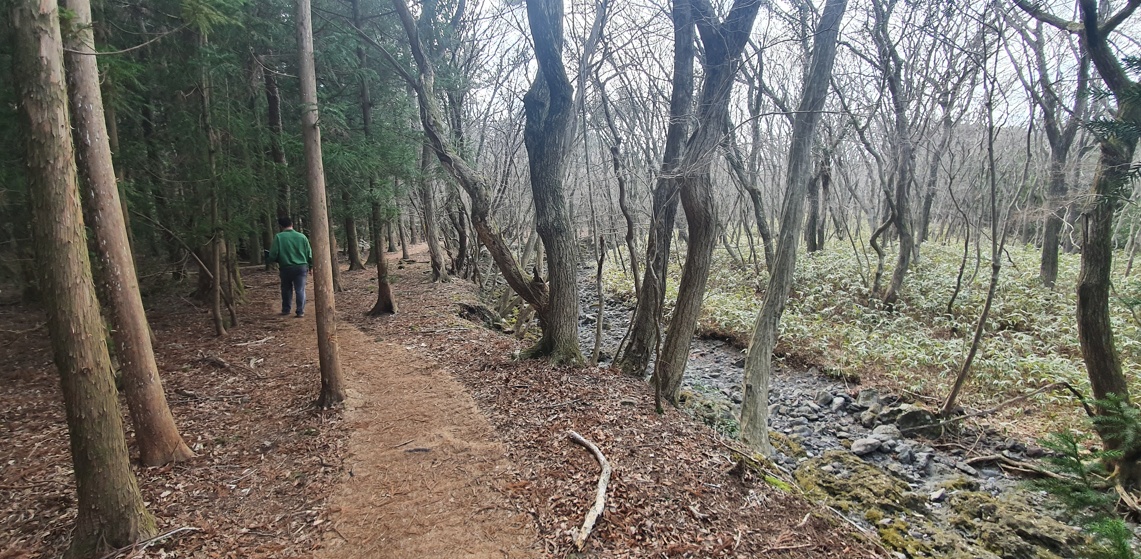 제주시, 삼다수 숲길 구간 안전하게 탈바꿈시키다!