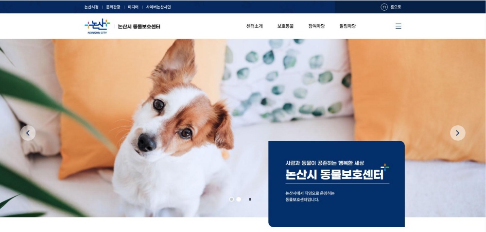 논산시, '동물보호센터' 누리집 운영으로 정보제공 나선다!