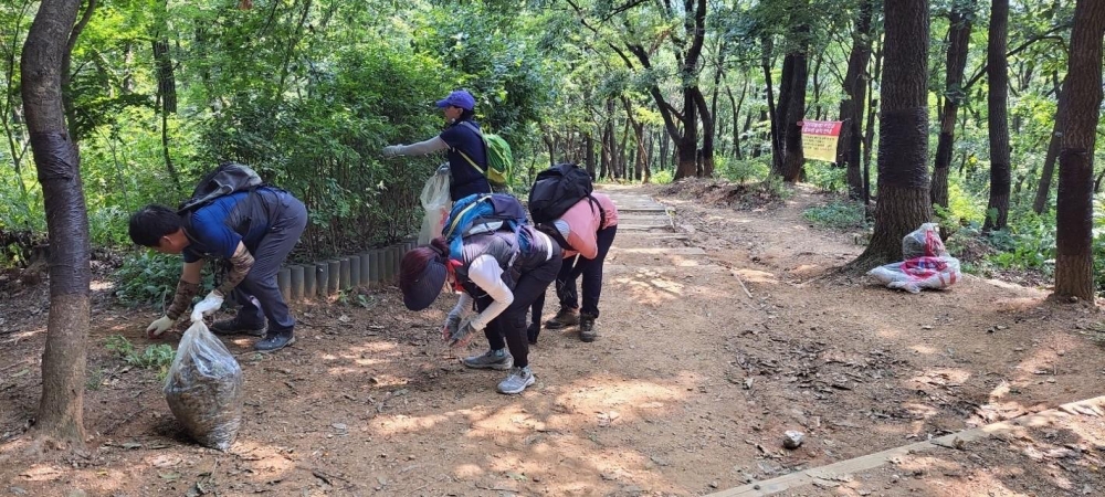 서울 은평구, 친환경 방제 활동 실시