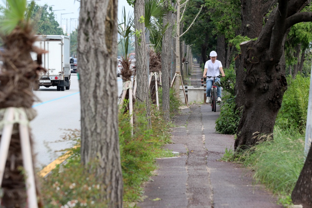 광산구, 공항역~극락교 자전거 전용도로 조성 추진
