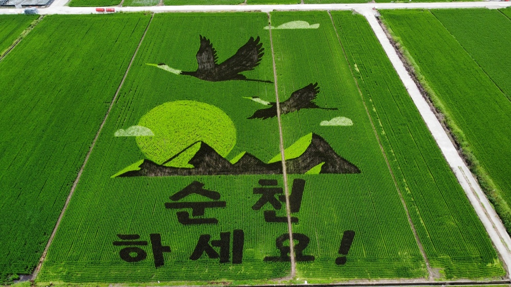 순천시 뜰 아트 사진 공모전 개최