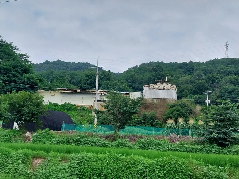 안성시, 악취저감 능력이 취약한 양돈농장 폐업 지원