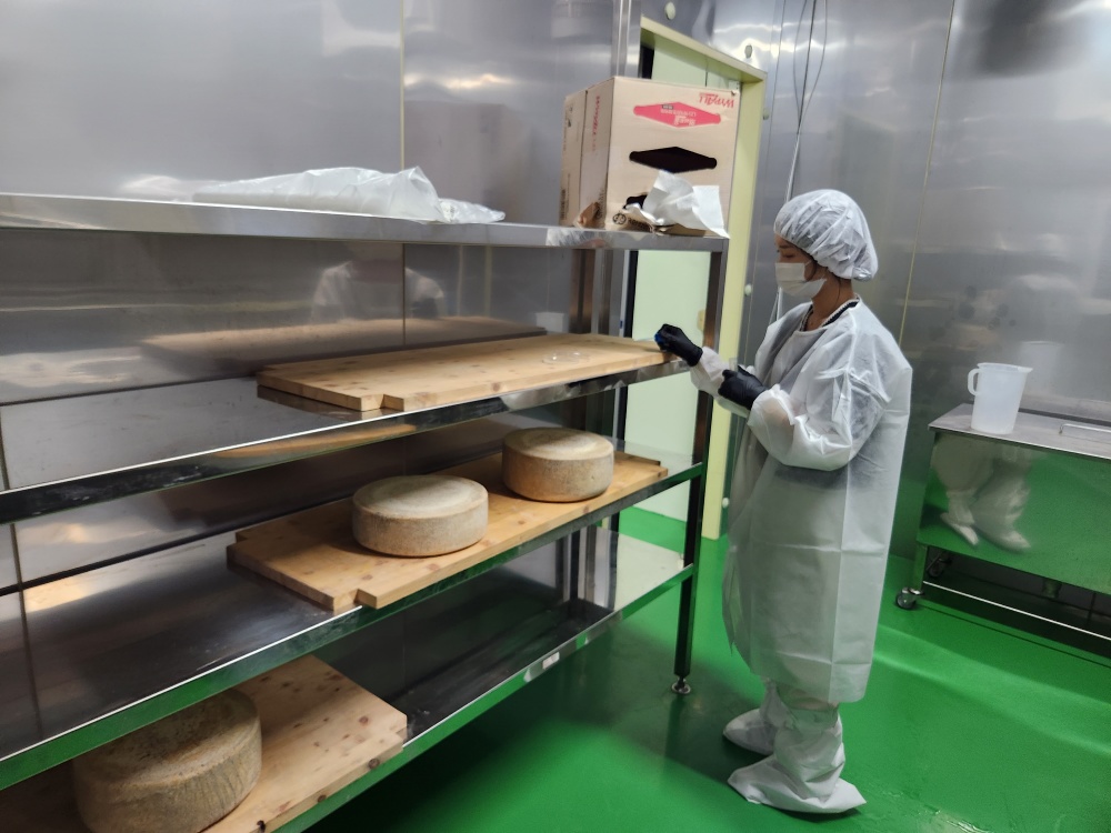 임실군, 여름철 맞이 유가공업체 위생점검