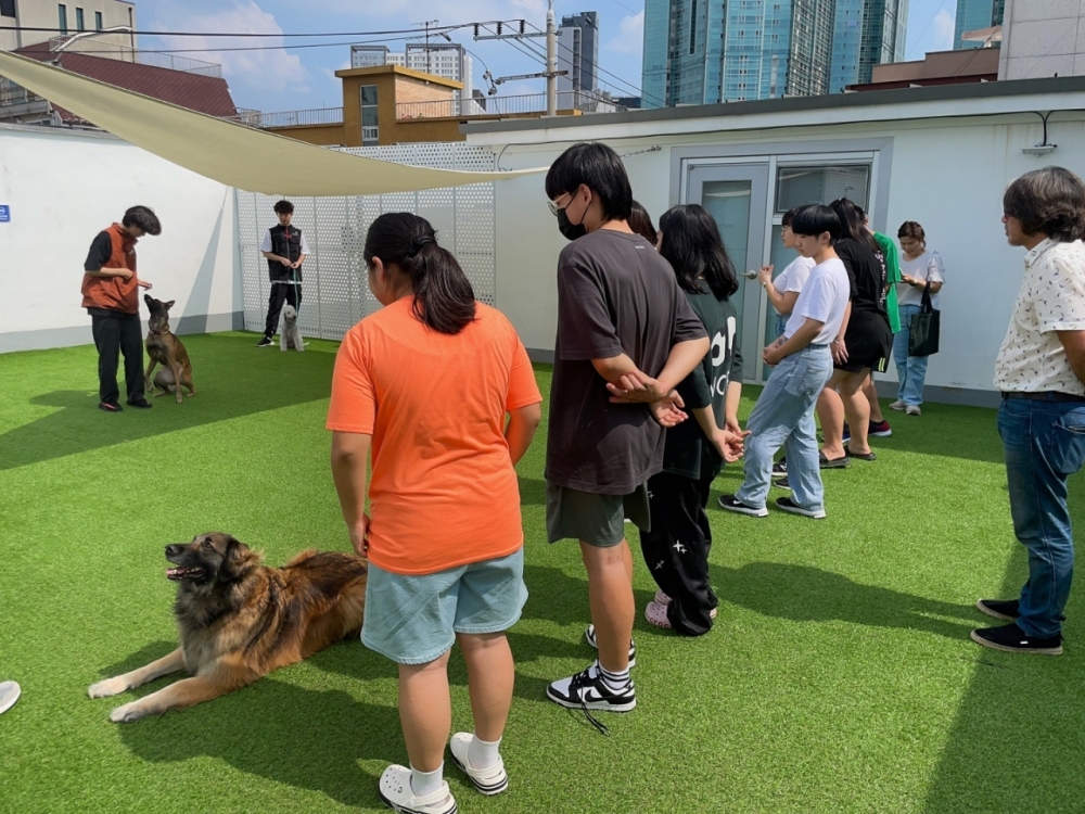 서울 금천구, 반려동물 매개 자원봉사 프로그램 구성・운영