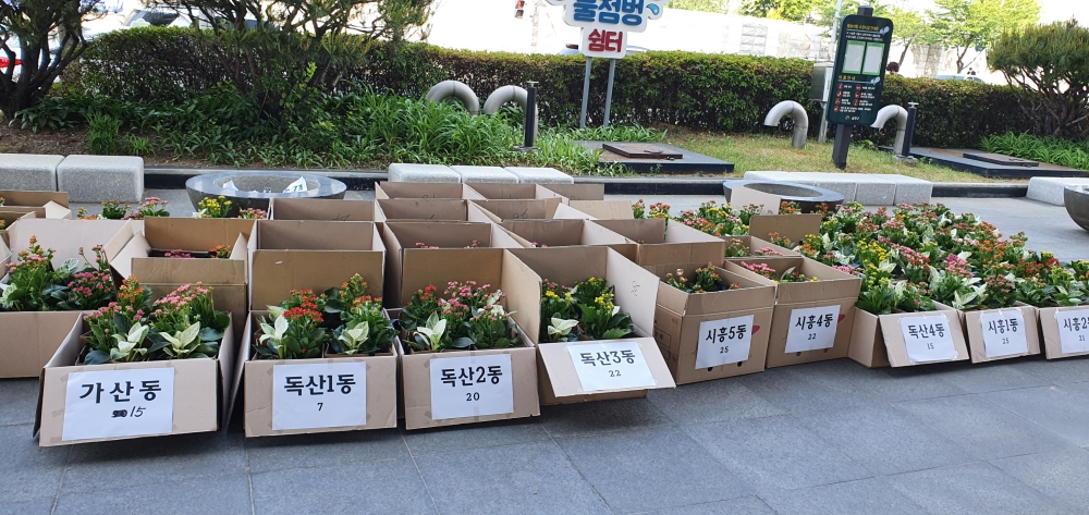 서울 금천구, 취약계층 어르신 반려 식물 보급