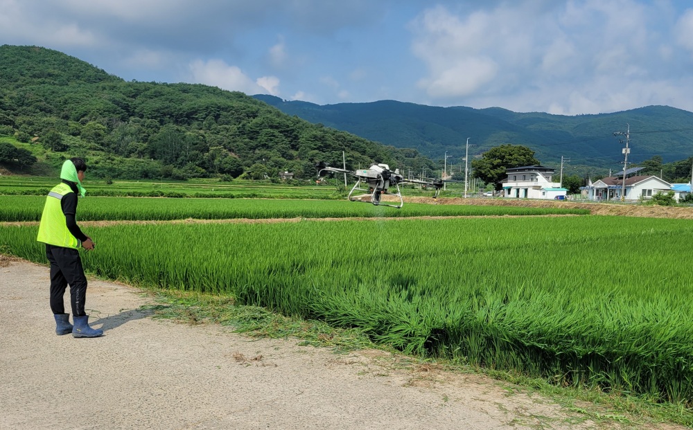 하동군, 벼 병해충 공동방제 실시한다