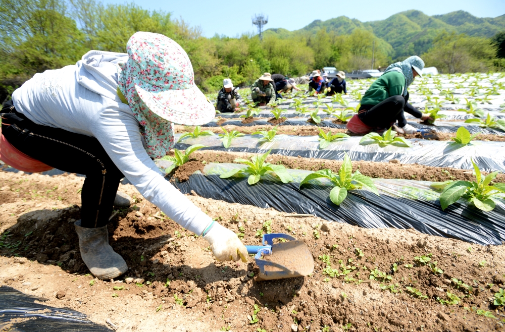 화천군, '외국인 계절 근로자' 숙소 지원 나선다