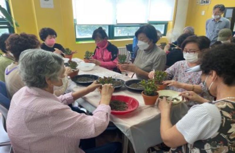 서울 은평구, 취약계층 어르신 '반려식물 보급사업' 추진