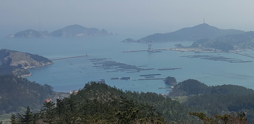 신안군, 흑산도항 내 양식시설 정비 완료