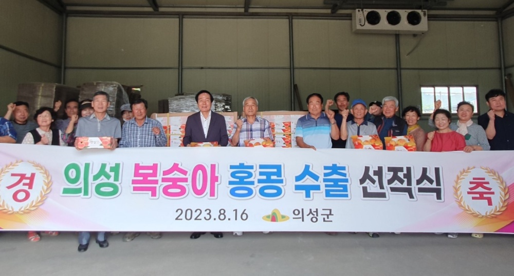 의성 복숭아 0.7톤, '홍콩' 첫 수출
