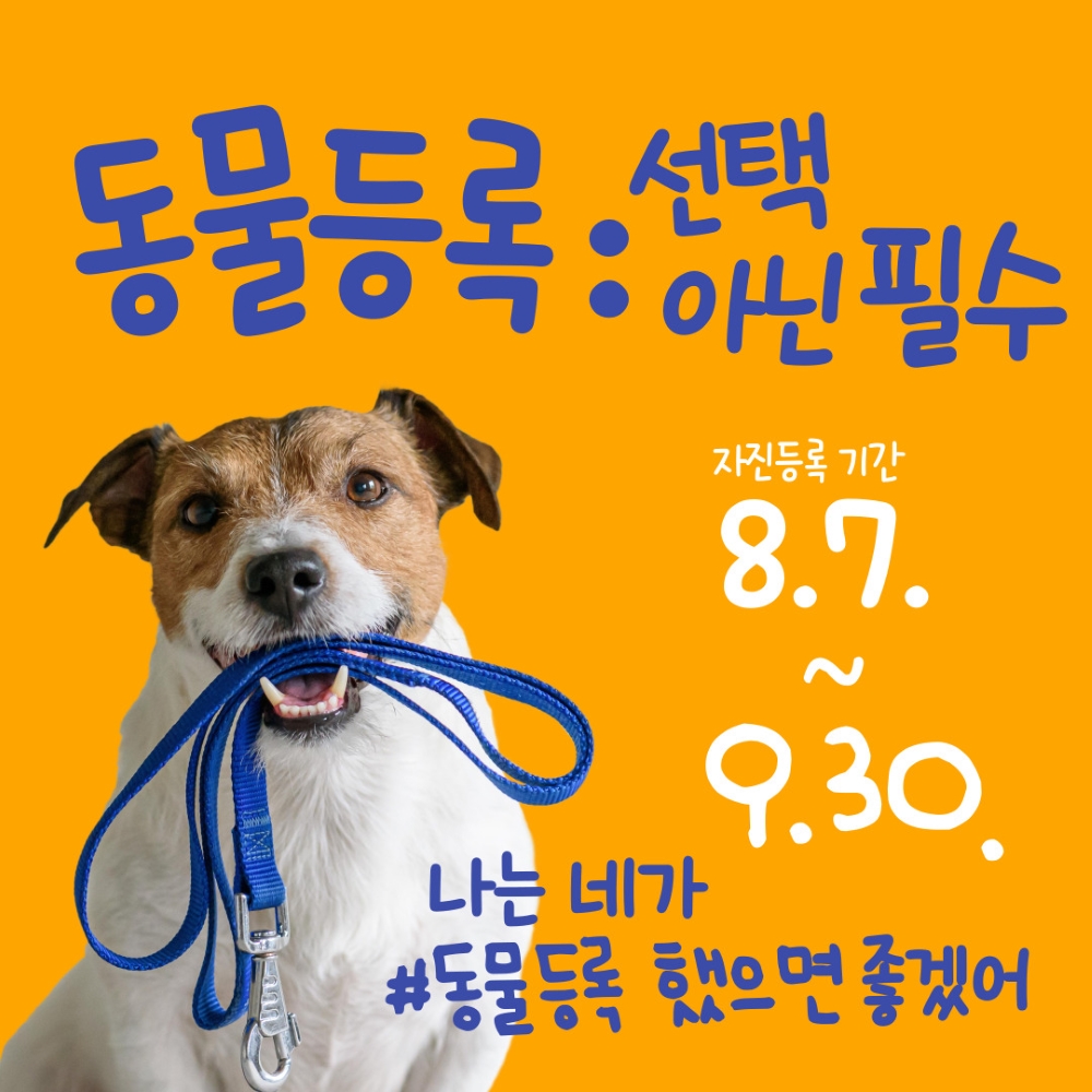 계양구, 유실·유기동물 발생 예방 위해 '동물등록 자진신고기간' 운영