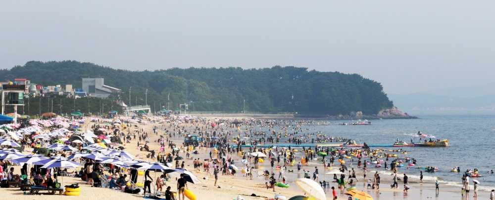 보령시, 대천해수욕장 '인명사고 제로' 달성