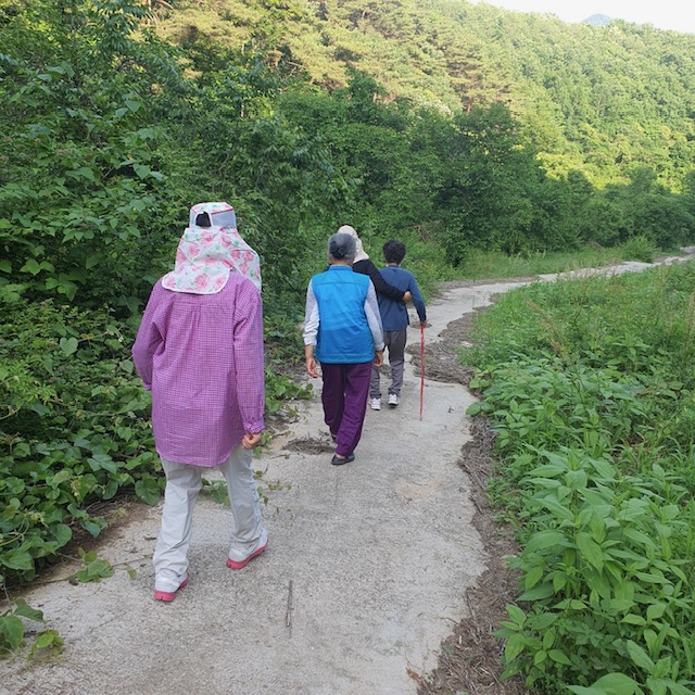 임실군, 마을 걷기동아리 운영
